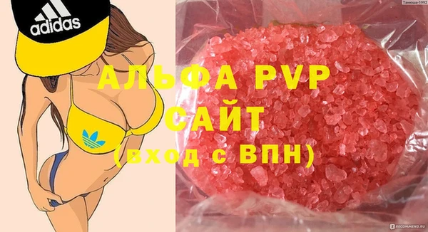 ГАЛЛЮЦИНОГЕННЫЕ ГРИБЫ Белокуриха