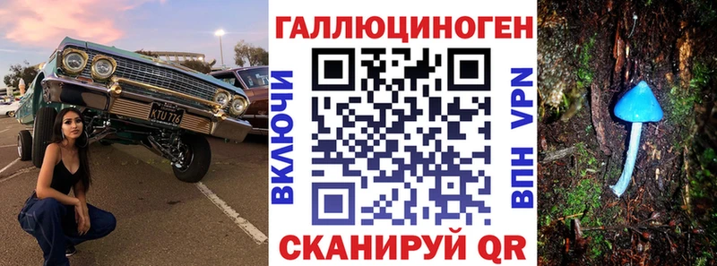 Псилоцибиновые грибы Psilocybe  Дзержинский 