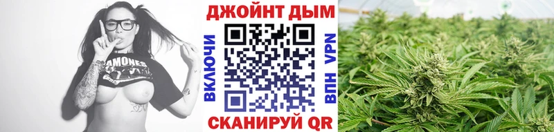 где найти   Дзержинский  Шишки марихуана VHQ 
